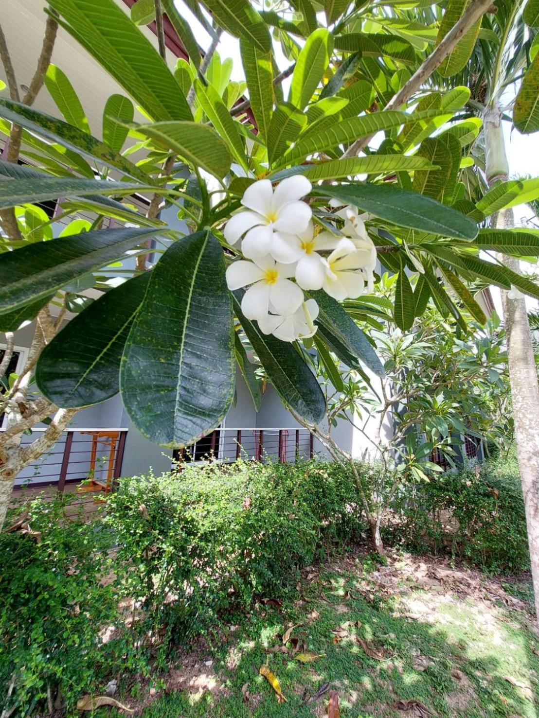 Sisina Resort Prachuap Khiri Khan Exteriör bild